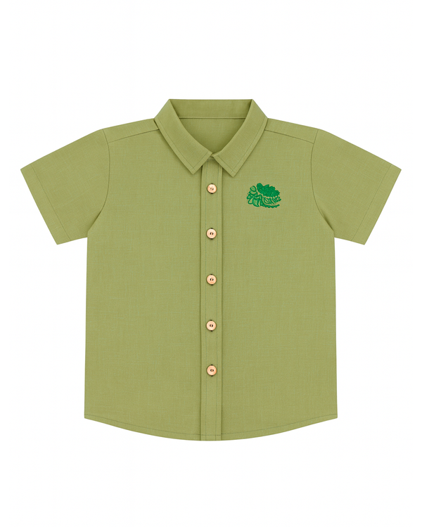 Camisa verde con bordado de dinosaurio