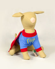 Disfraz CandyPet macho Superdog